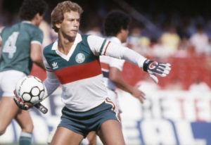 Emerson Leão: um dos maiores goleiros do Palmeiras.
